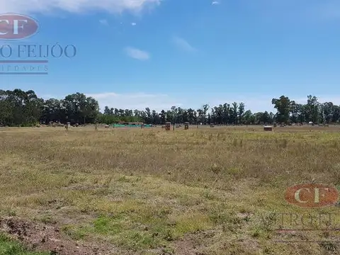 Terreno en Venta de 466,0 m2