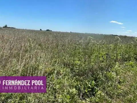 Terreno en Venta 325  mts Fondo
