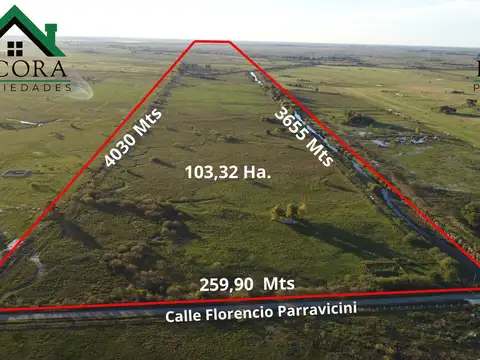 Campo 103,32 HA - Terreno - Escobar - Juan Mermoz y Florencio Parravicini