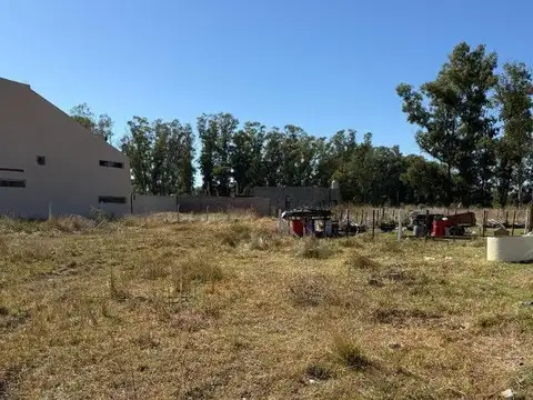 Terreno en Venta en Villa Ruiz, USD 3.500