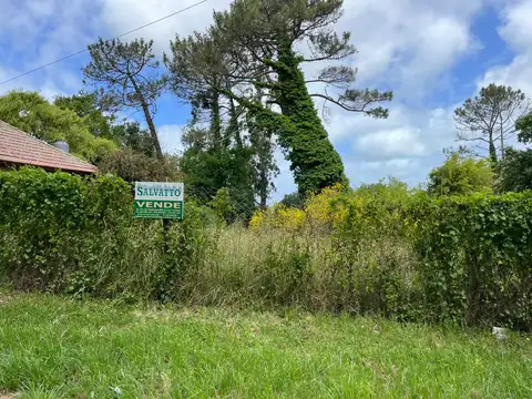 TERRENO EN VENTA SOBRE CALLE DE LA MAZA BARRIO ALFAR A MEDIA CUADRA DE DIAG. EE. UU Y ENTRADA AL BOSQUE