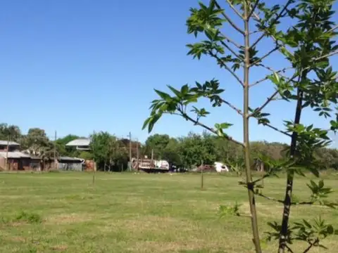 Terreno en Venta 10  mts Fondo