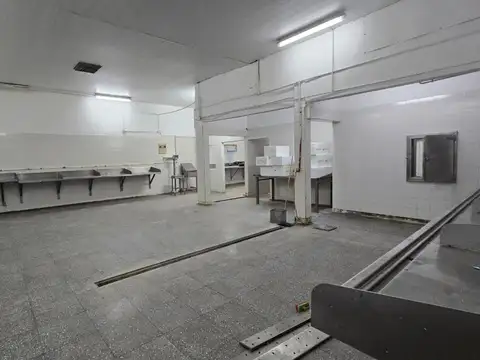 FABRICA DE PESCADO, LISTA PARA CONTINUAR TRABAJANDO