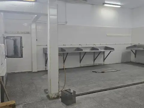 Gianelli 800