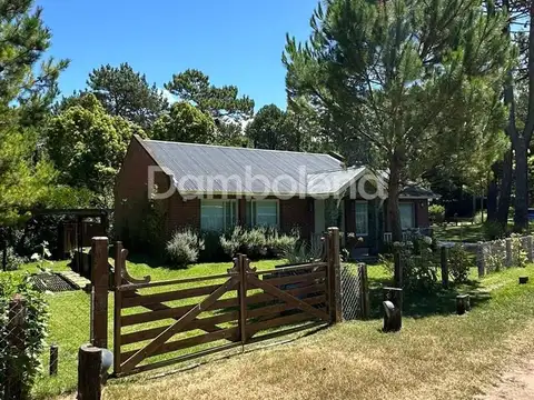 Torcaza 100