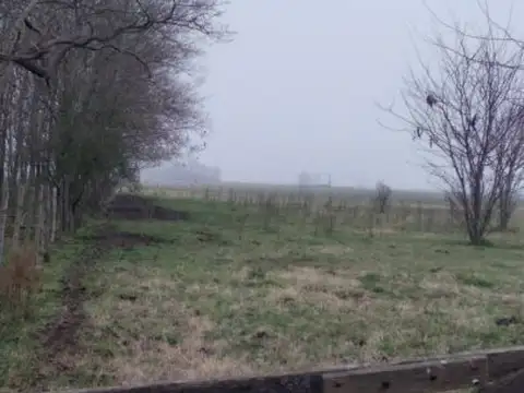 Campo 11 Has. San Miguel Del Monte, Buenos Aires