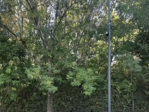 Terreno en Venta 49  mts Fondo