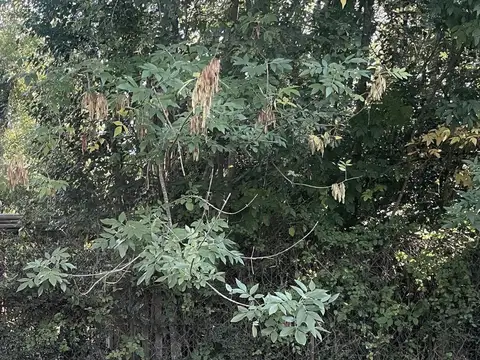 Terreno en Venta en Los Cardales, USD 55.000