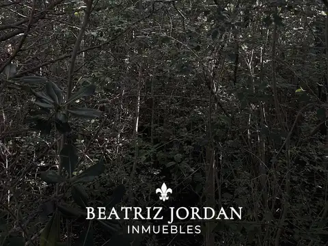 TERRENO EN VENTA, BARRIO ABIERTO SANTA BRIGIDA, LOS CARDALES