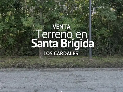 TERRENO EN VENTA, BARRIO ABIERTO SANTA BRIGIDA, LOS CARDALES