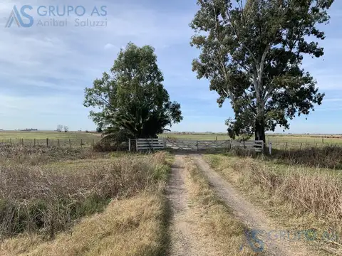 Excelente Campo Agrícola sobre Ruta Provincial 18