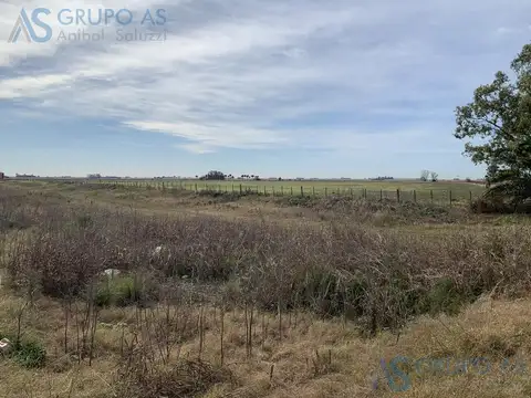 Excelente Campo Agrícola sobre Ruta Provincial 18