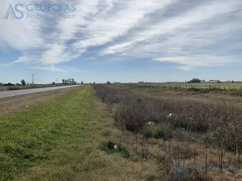 Ruta Provincial 18 - Santa Teresa - Campo Agricola 62,7 ha.