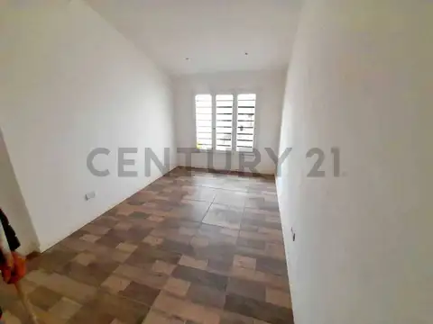 Giacobini 2481 , Piso 0