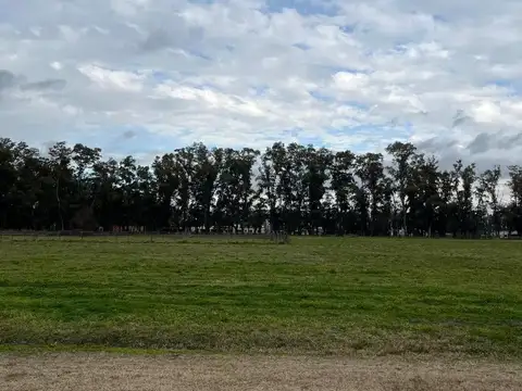 BERNARDINO RIVADAVIA KM 14.5