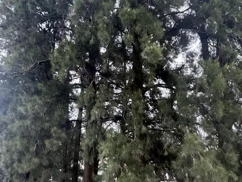 Terreno en Venta en Villa Ruiz, USD 30.500