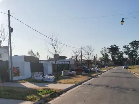 Silvestre Begnis 1000