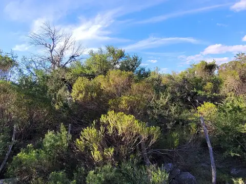 Cuesta de los molles arriba