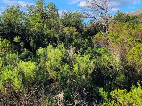 Terreno en Venta de 25000,0 m2