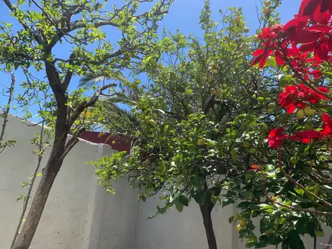 Av. De Los Incas 4200, Piso PB