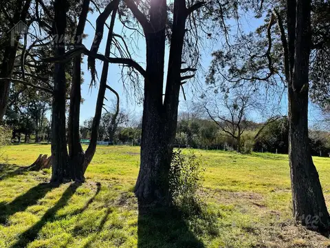 Enrique Larreta al 8300