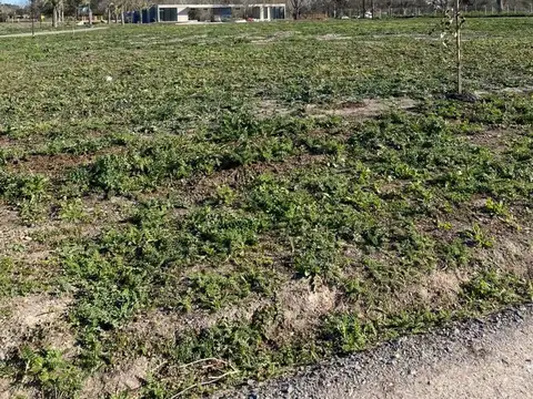 Terreno en Venta en City Bell, USD 72.000