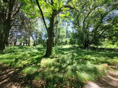 Terreno en Venta de 19384,0 m2