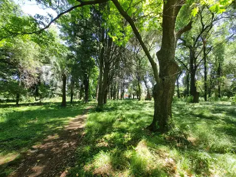 Terreno en Venta de 19384,0 m2