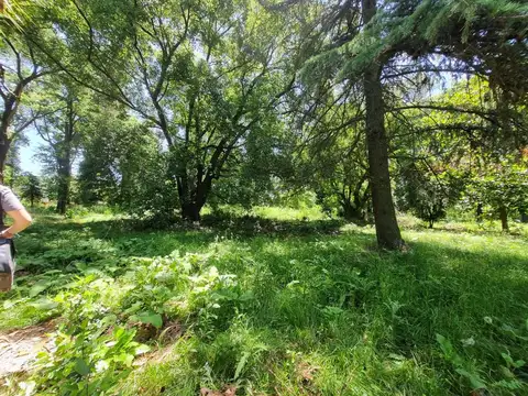 San Cayetano