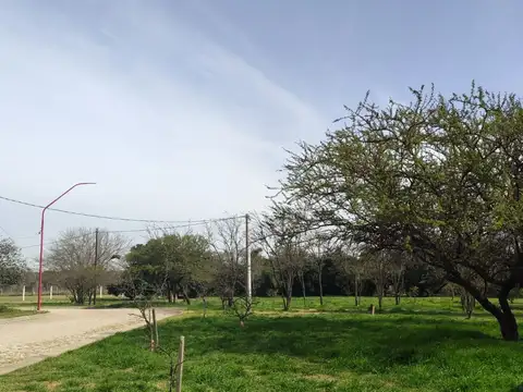 Terreno en Venta de 860,0 m2