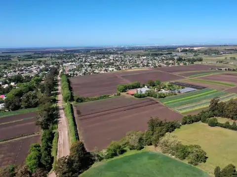 Campo en Venta de 75  ha