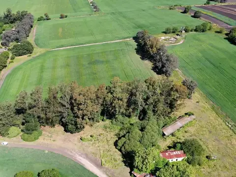 Campo en Venta de 75  ha