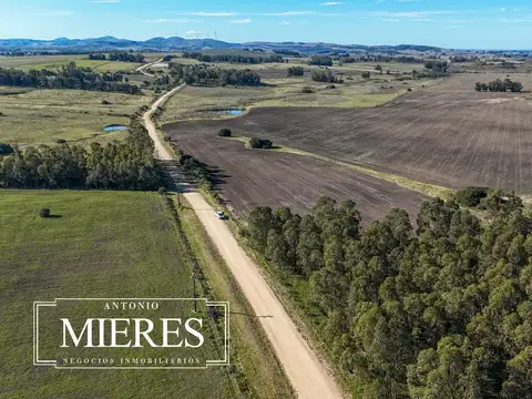 Venta de campo 50 ha en puntas de Laguna del Sauce