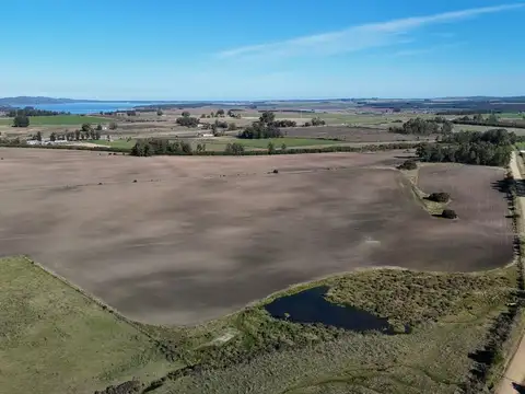 Venta de campo 50 ha en puntas de Laguna del Sauce