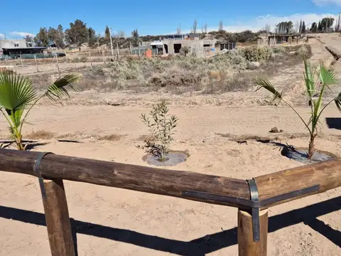 Terreno en Venta en Luján de Cuyo, USD 7.000
