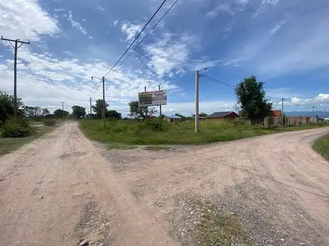 LOTEO  PACARA CHICOANA