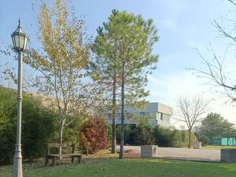 31 entre 479 & 481 , Piso 0