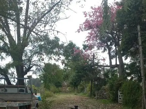 San Lorenzo 4551