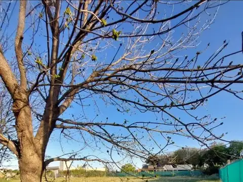 Terreno en Venta de 1350,0 m2