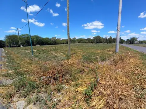 Terreno en Venta 25  mts Fondo