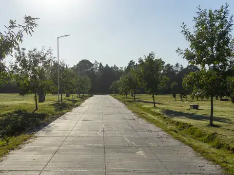 Ruta 7 y Jose María Perez 65000