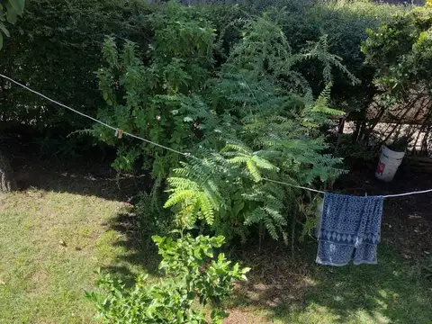 CASA EN VENTA 4 AMB. CON GRAN PARQUE C/ PARRILLA