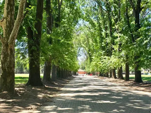 Terreno en Venta en Almahue, USD 99.500