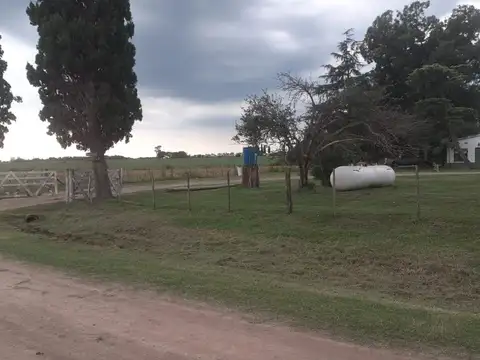 Granja avícola completa habilitada.