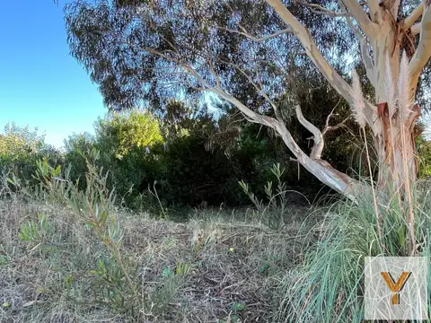 Terreno en Venta de 857,0 m2