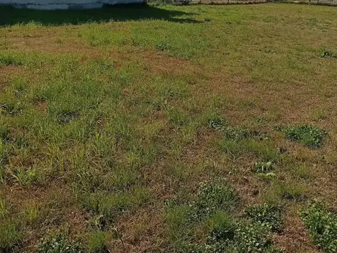 Terreno en Venta de 230,0 m2