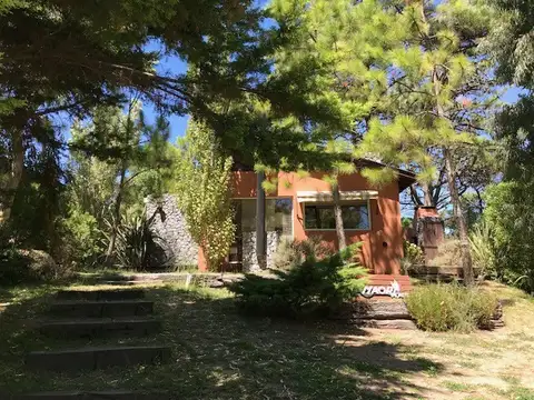 A tan solo 100mts de la playa Maori Place