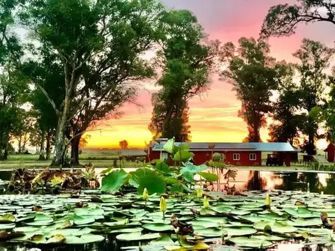 Terreno en Venta de 1000,0 m2