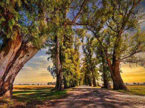 Terreno en Venta en Los Tres Pinos, USD 28.000