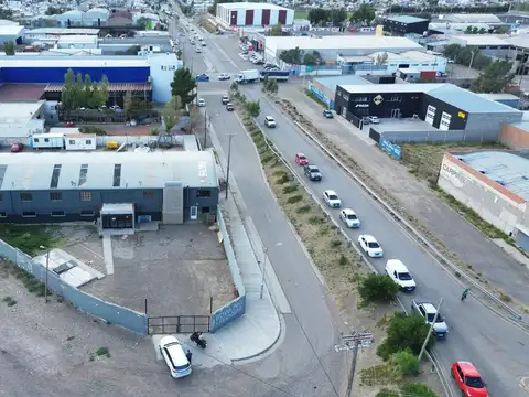 Constituyentes  20